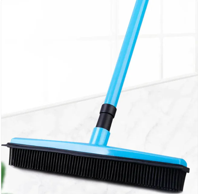 Shedd Broom