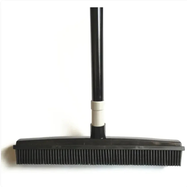 Shedd Broom