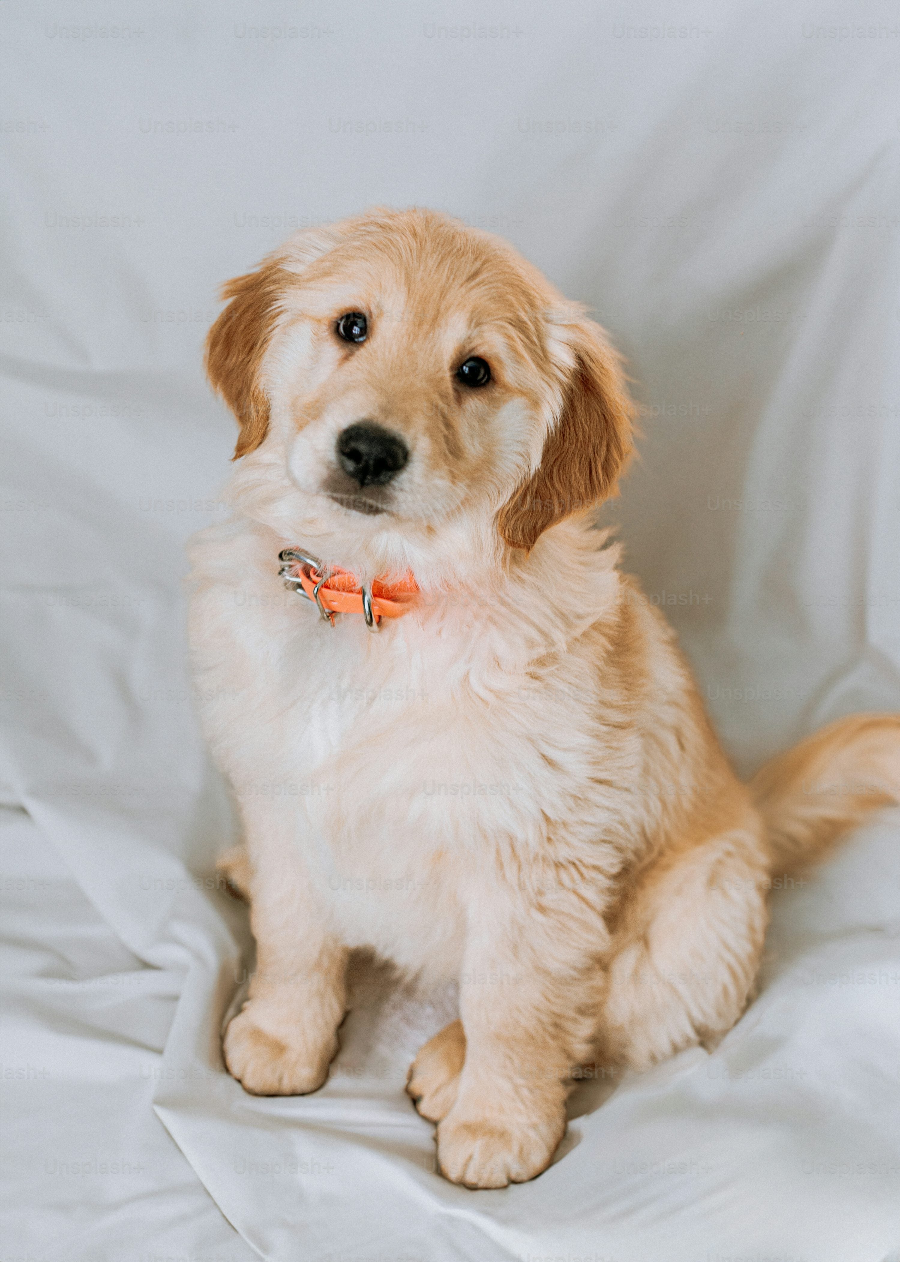 Berta